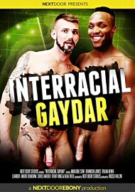 Interracial Gaydar (2017) (161850.5)