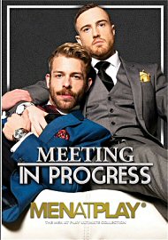 Meeting In Progress (211642.1)